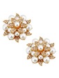 ElegantPark New Fashion Pearls Rhinestones Wedding Party Shoe Clips Two Pieces Including