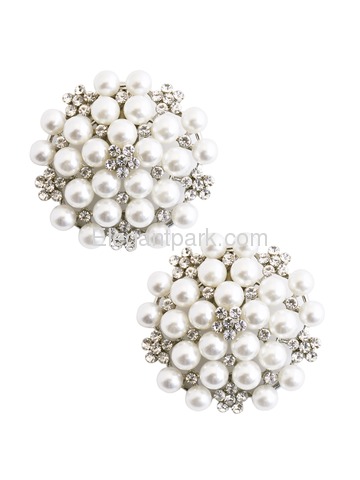 ElegantPark Women Wedding Accessories Pearl brooch Shoe Clips 2Pcs